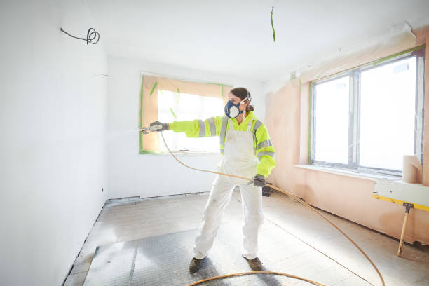 Reliable Peoria, AZ Mold Removal Solutions