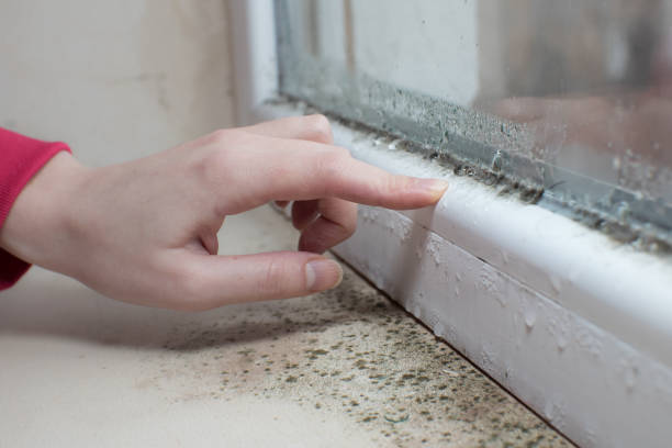 Best Post-Remediation Verification Testing  in Peoria, AZ