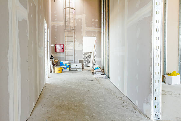 Best Air Quality Testing for Mold Spores  in Peoria, AZ