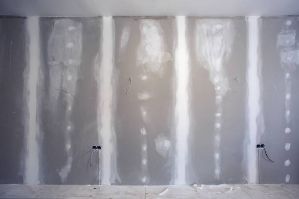 Best Industrial Mold Remediation  in Peoria, AZ